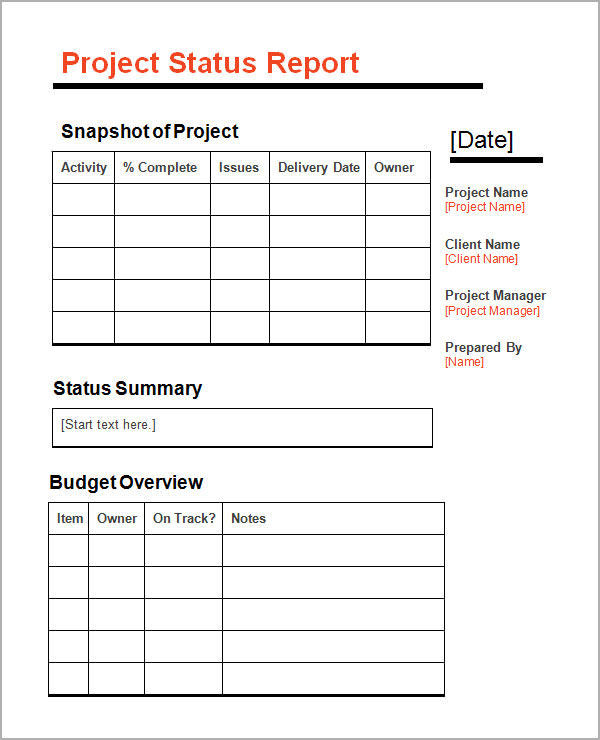 Simple Project Status Report Template