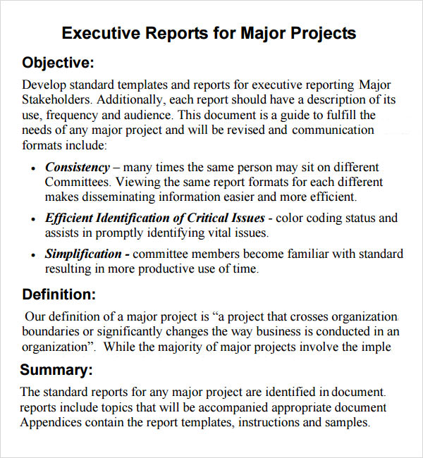 Executive Report 6 Free PDF DOC Download Sample Templates