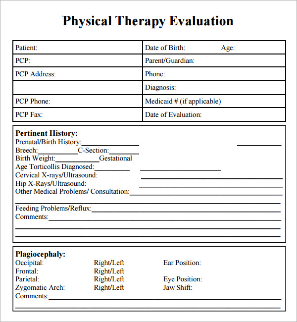 rheology theory