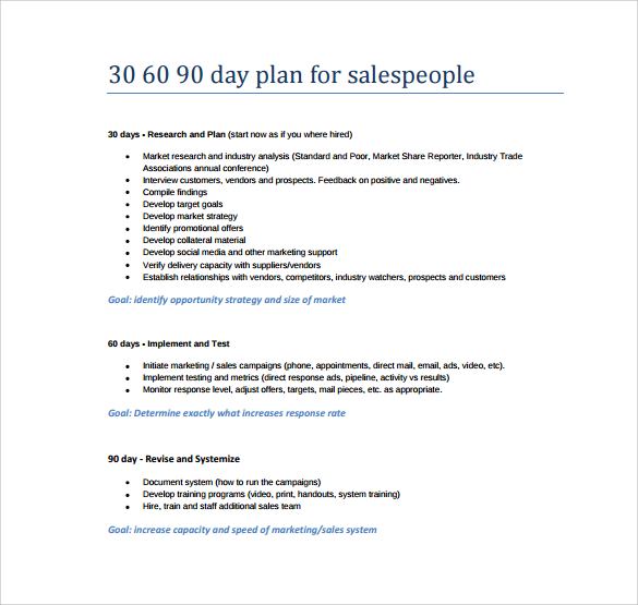 30 60 90 day business plan examples