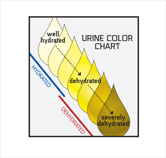 Colors Of Urine Chart Printable