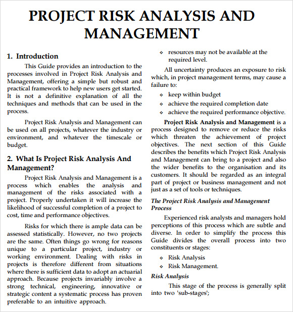 risk analysis example business report
