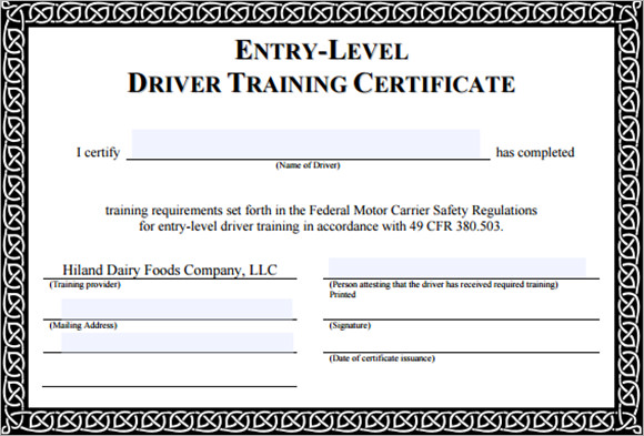 Sample Training Certificate Template 6  Documents in PSD PDF