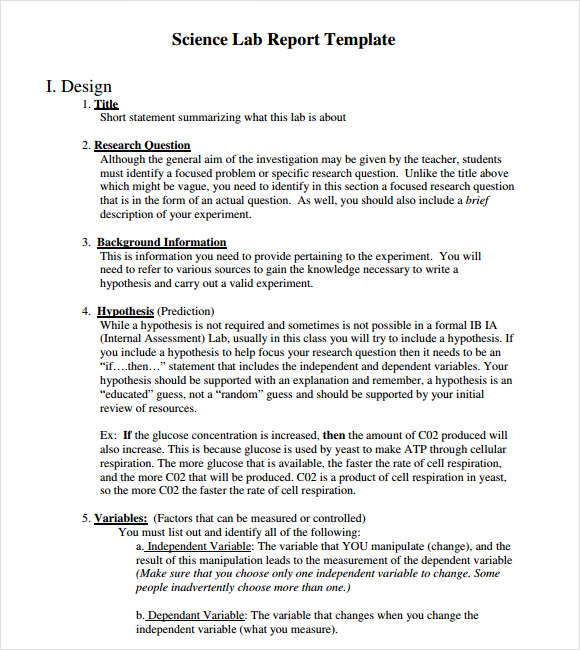 Practical report format