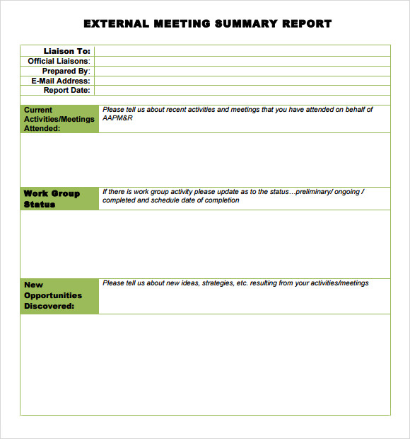 Sample Meeting Summary Template 7+ Documents in PDF