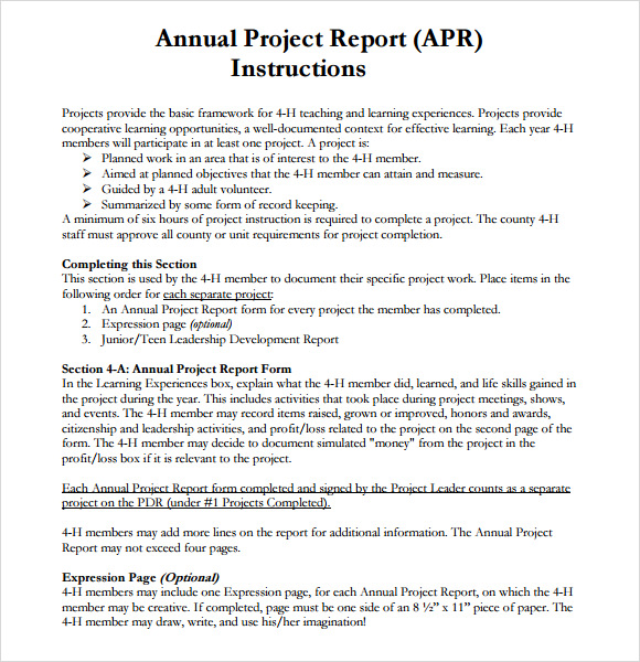 22+ Project Report Templates – PDF, DOC