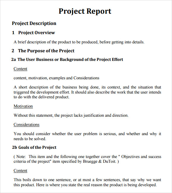 2 Must-Have Project Management Report Templates | Free Download