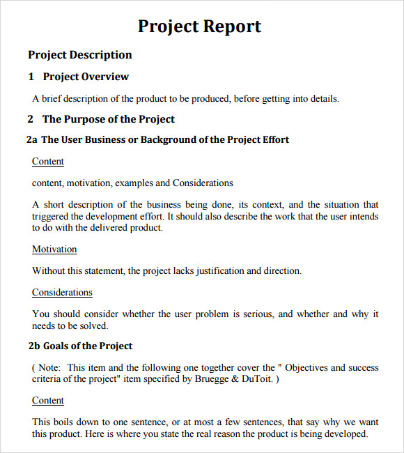 Project Report Sample Word