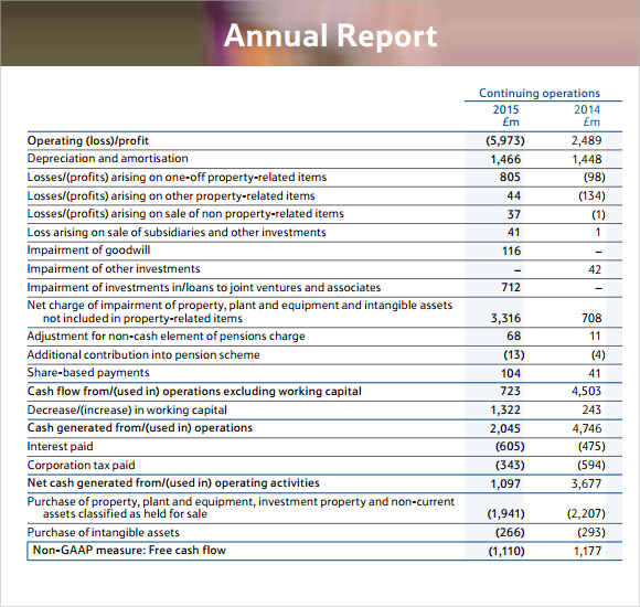 sample finance report