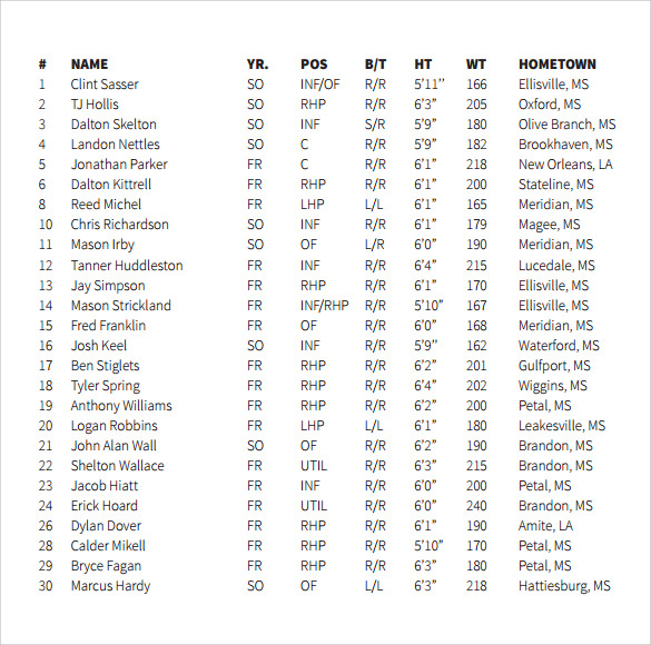 Sample Baseball Roster Template 9+ Free Documents in PDF , Word , Excel