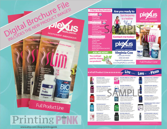 products brochure template