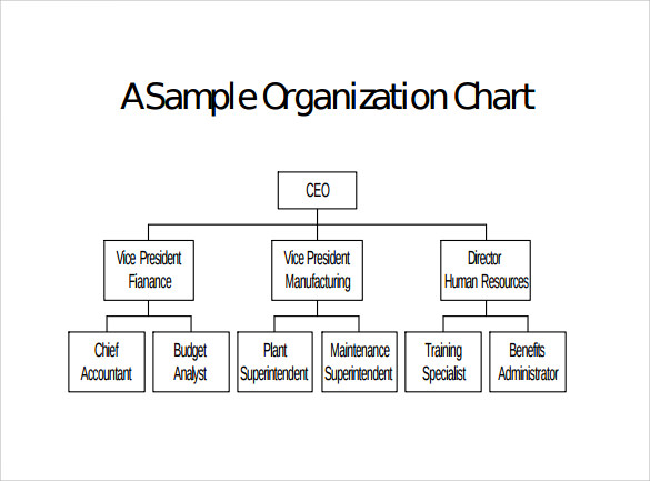 Blank Organizational Charts Sample Templates