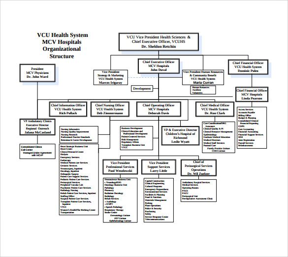 Hospital Organizational Chart