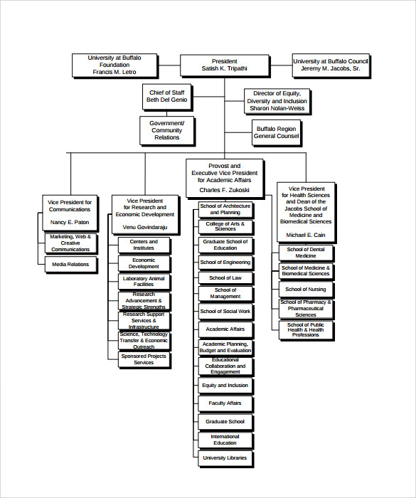 Organizational Chart Example For Small Business