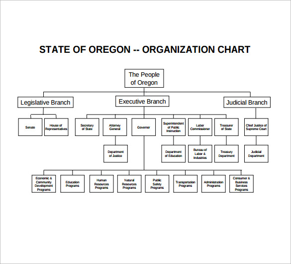 NonProfit Organizational Chart 7 + Samples, Examples, Format