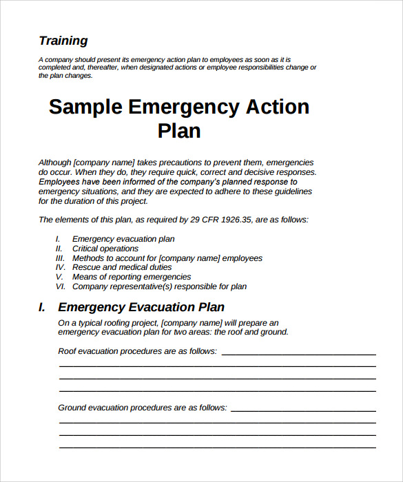 Sample Emergency Action Plan Template 9  Documents in PDF Word