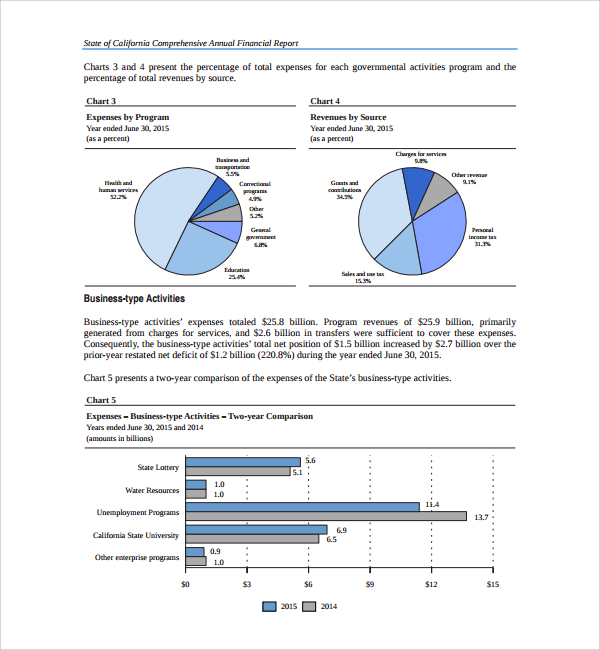 Sample Annual Financial Report Template 9 Free Documents In Pdf Word