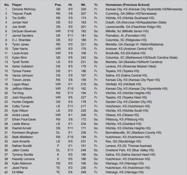 Sample Football Roster Template 9+ Free Documents Download in Word, PDF