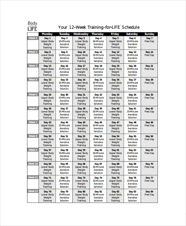 Sample Training Schedule Template 8 Free Documents Download In Word PDF