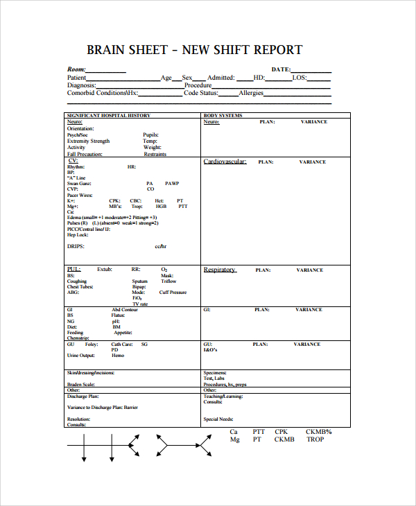 Sample Shift Report Template 7+ Free Documents Download in Word, PDF