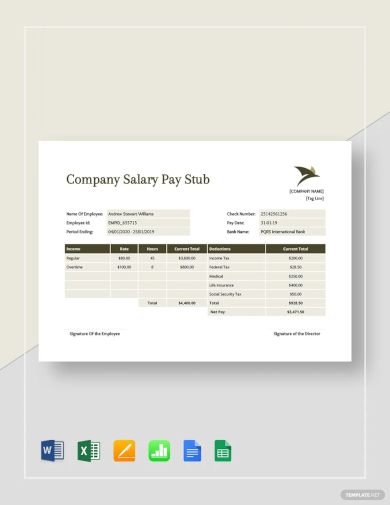 company salary pay stub template