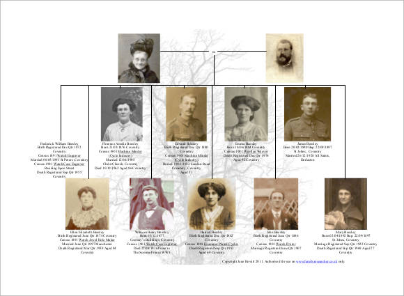 photo family tree
