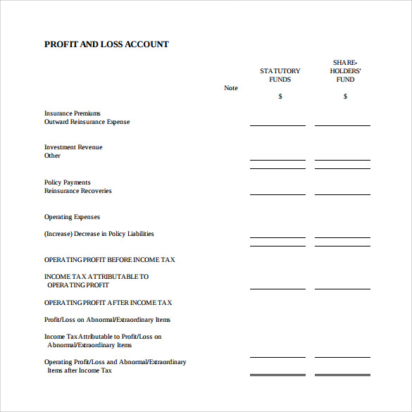 profit and loss account template4