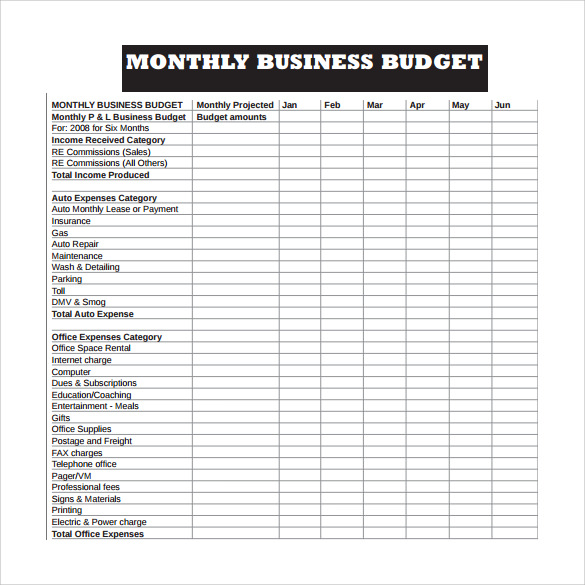 Business Budget Sample