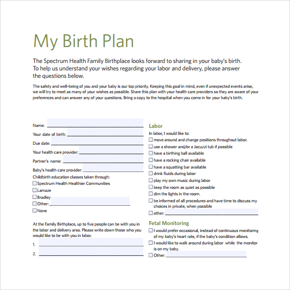 birth plan preferences template