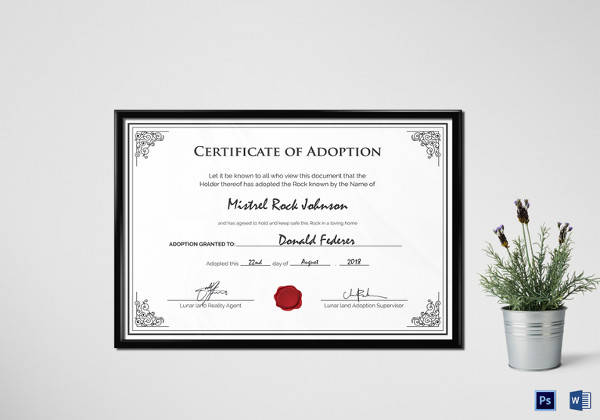 adoption birth certificate template