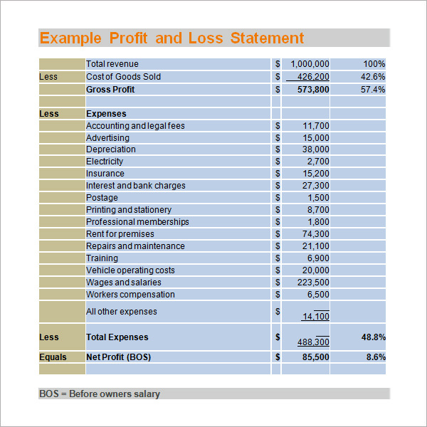 example profit and loss statement1