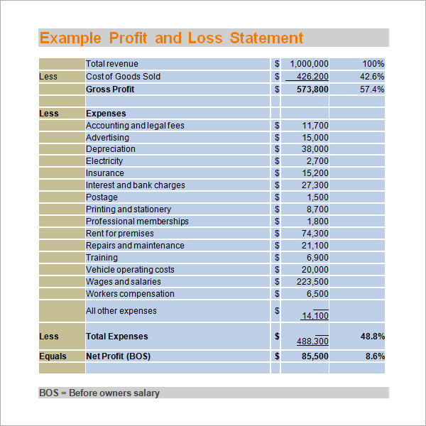 19 Sample Profit and Loss Templates | Sample Templates