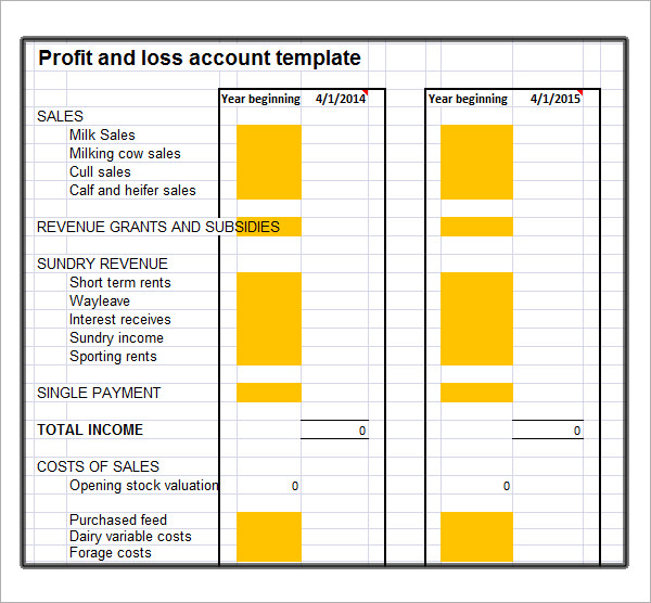 19 Sample Profit and Loss Templates | Sample Templates