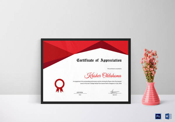 netball appreciation certificate template