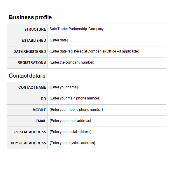 business proposal template3