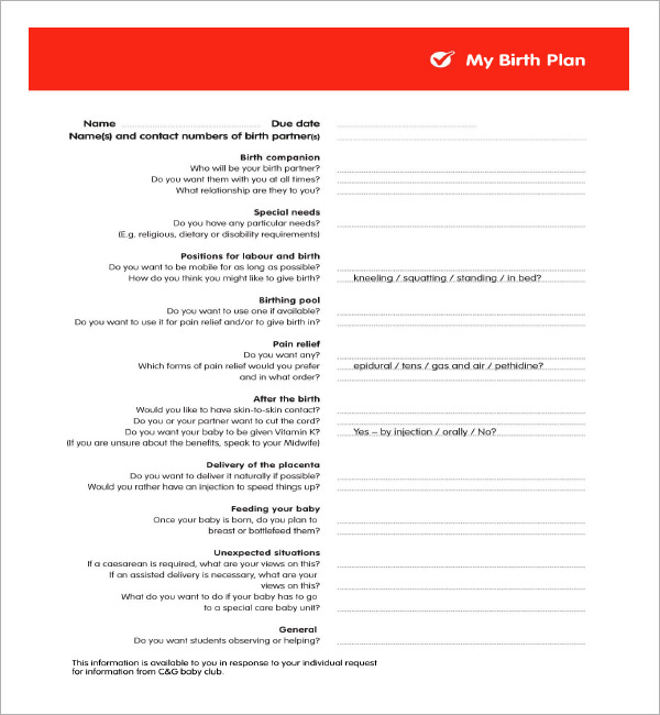 22+ Sample Birth Plan Templates – PDF, Word, Apple Pages 