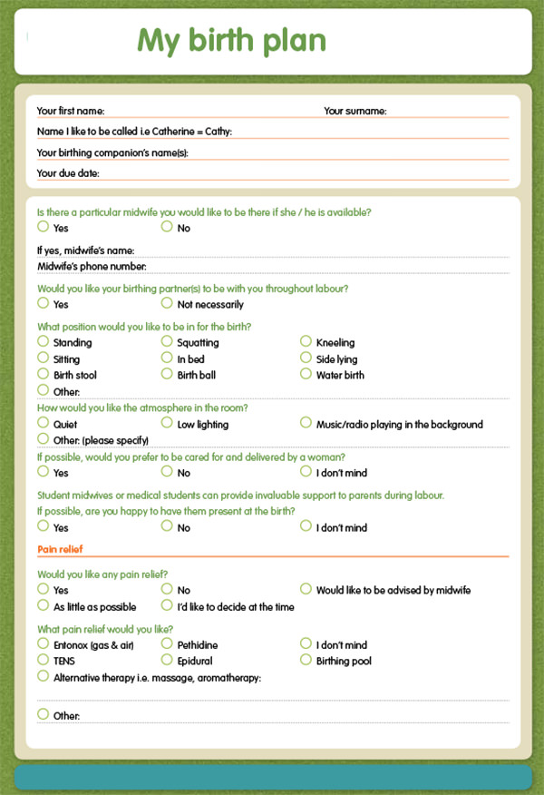 free-23-sample-birth-plan-templates-in-pdf-ms-word-apple-pages