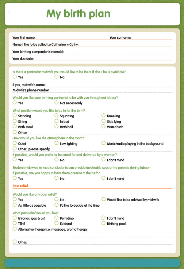 FREE 23 Sample Birth Plan Templates In PDF MS Word Apple Pages