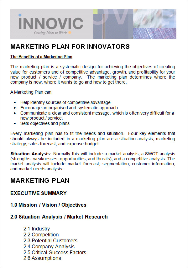 FREE 19+ Sample Marketing Plan Templates in Google Docs MS Word