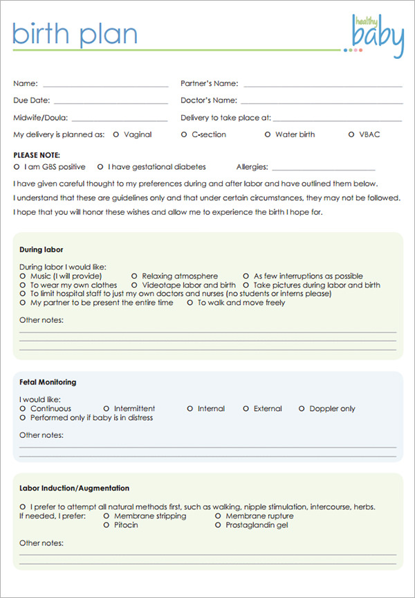 Free 23 Sample Birth Plan Templates In Pdf Ms Word Apple Pages