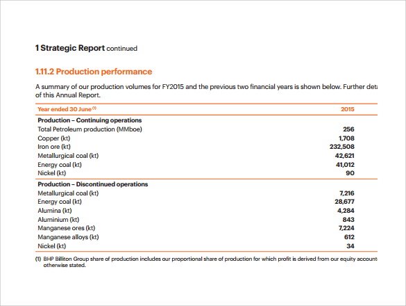 strategic annual report 