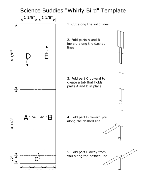 free-13-sample-bird-templates-in-pdf