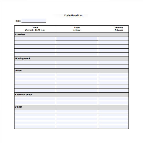 daily food log template1