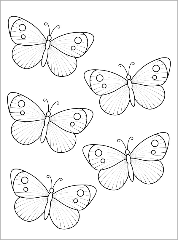 butterfly template