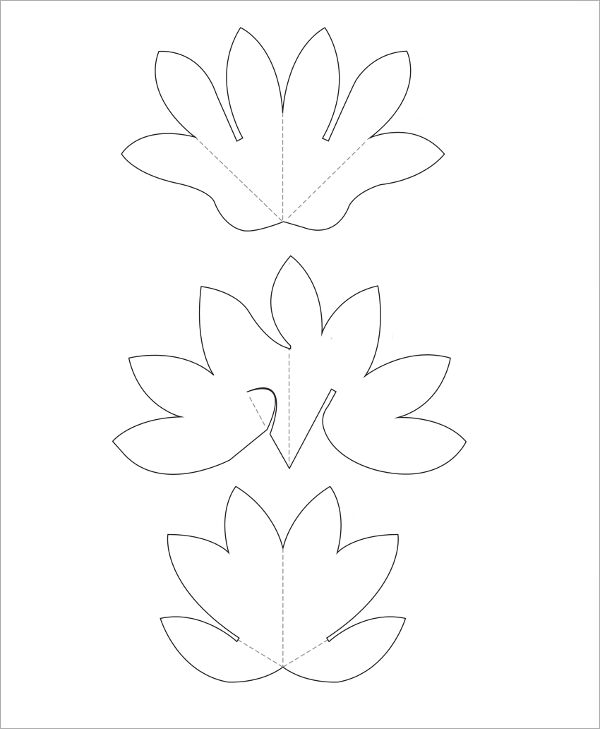 lotuspapercircuit