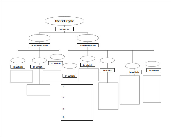 cell cycle concept map word template free download