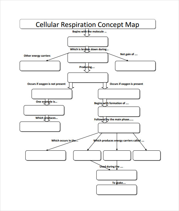 cellular respiration concept map pdf free download