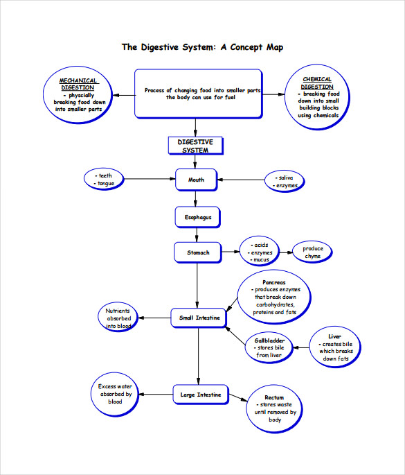 chapters in