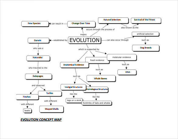 free download evolution concept map in pdf 
