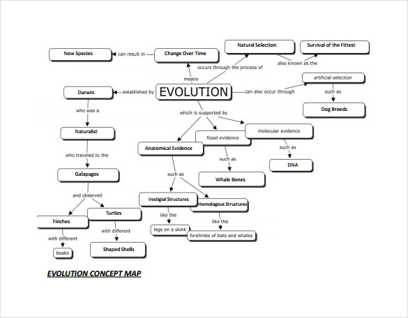 10 Sample Concept Map Templates Sample Templates   Free Download Evolution Concept Map In PDF  